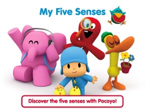 Pocoyo Playset - My 5 Senses Image
