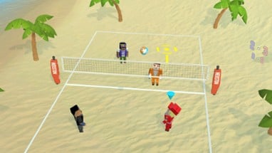 Volleyball Fever Flat Image