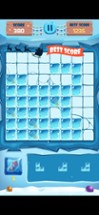 Block Puzzle Frozen Image