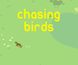 chasing birds Image