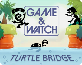 Turtle Bridge Image