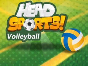 Head Sports Volleyball Image