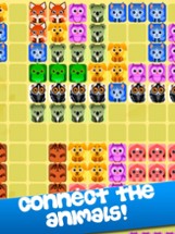 1010 Animals - Block Puzzle Image