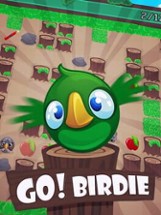Go! Birdie Image