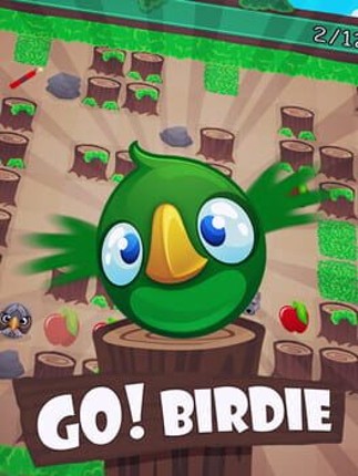 Go! Birdie Game Cover