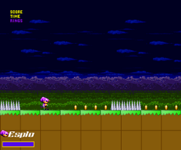 Espio In Shinobi World Image