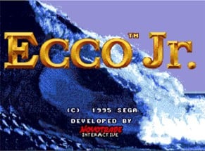 Ecco Jr. Image