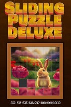 Sliding Puzzle Deluxe for PC & XBOX Image