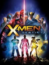 X-Men: Destiny Image