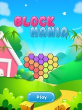 Block Merger - One Hexa Puzzle Image