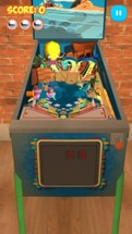 Pinball Challenge 3D Image