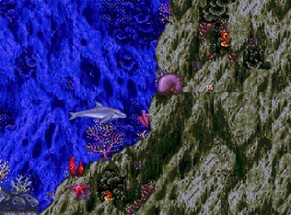 Ecco the Dolphin Image