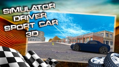 Simulator Driver Sport Car 3D Image