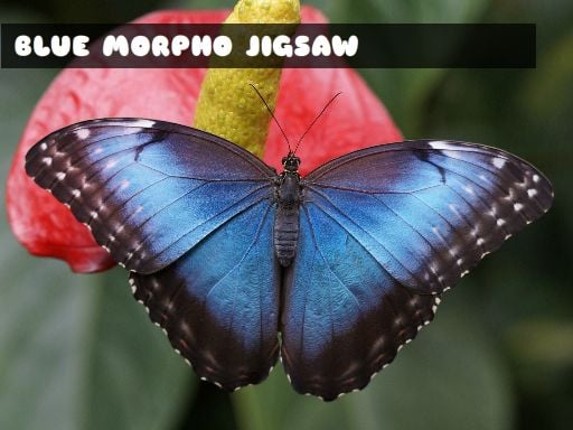 Blue Morpho Butterfly Jigsaw Game Cover