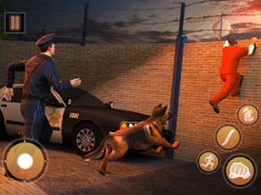 Prison Escape Survival Sim 3D Image
