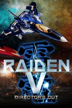 Raiden V Image