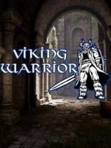 Viking Warrior Image