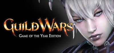 Guild Wars Image