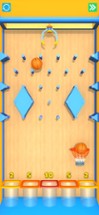 Basketball Life 3D - Dunk Game Image
