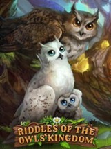 Riddles of the Owls Kingdom Image