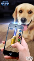 Laser for Home Animal Joke Image