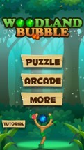 Bubble Shooter: pop shooting games for free Image