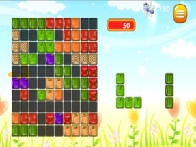 Fruits Match Puzzle Image