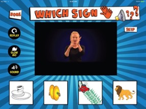 Signs &amp; Sounds Image