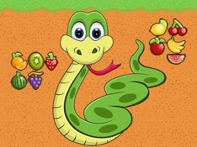 Snake Fruit Image