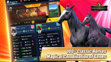 Stallion Race Image