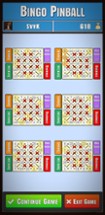 Bingo Pinball Image