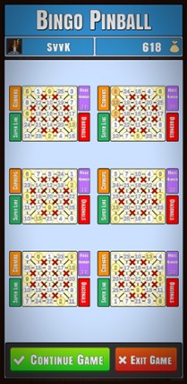Bingo Pinball Game Cover