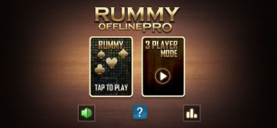 Rummy Offline Pro Image
