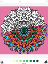 Adult Coloring Book Pages Image