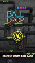 Ball Drop Zone Image