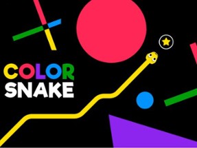 Colors Snake Image