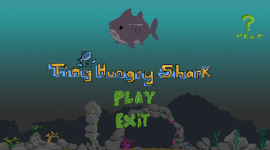 Tiny Hungry Shark Image