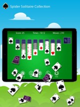 Spider Solitaire: Collection Image