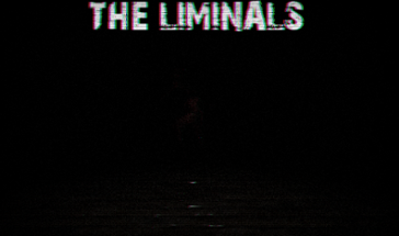 The Liminals Image