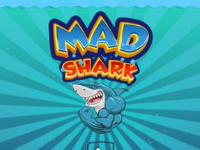 Mad Shark Image