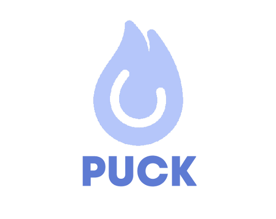 Puck Game Cover