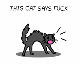 THIS CAT SAYS FUCK Image