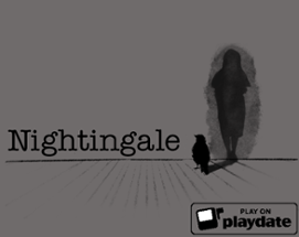 Nightingale Image