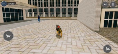 US Police Dog City Security 3D Image