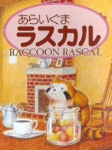 Raccoon Rascal Image