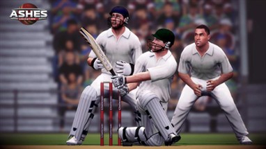 Ashes Cricket 2013 Image