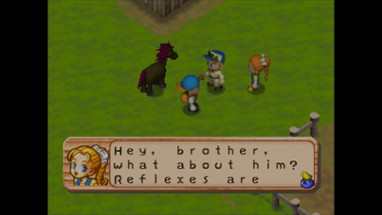 Harvest Moon 64 Image