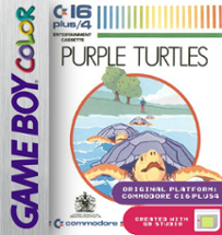 Purple Turtles Image