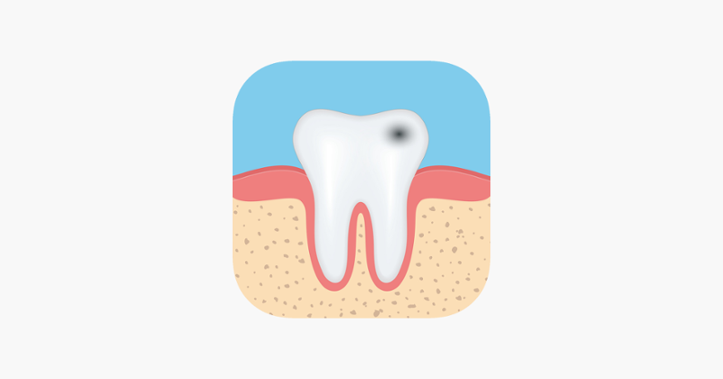 Dental Anatomy Quizzes Game Cover
