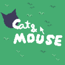 Cat and Mouse Image